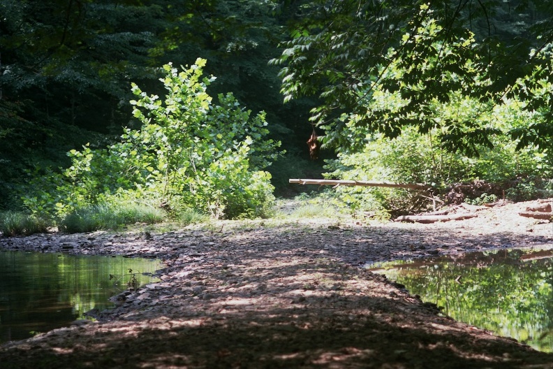 Gladie Creek &amp; Red River